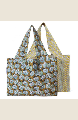 nai-21-02_sac_nenuphars